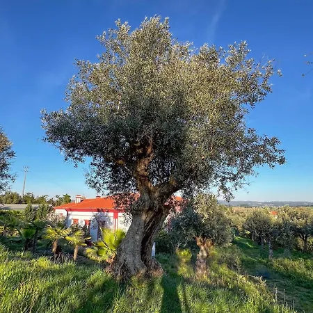 Villa Casa Do Piolhinho - Luxury Country Estate - Tomar, Portugal
