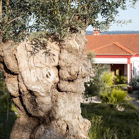 Casa Do Piolhinho - Luxury Country Estate - Tomar, Portugal Tomar