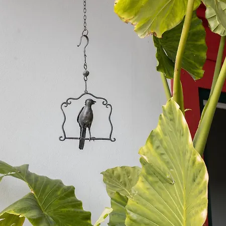 Casa Do Piolhinho - Luxury Country Estate - Tomar, Portugal *