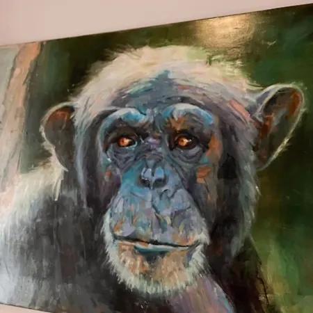 Casa Do Piolhinho - Luxury Country Estate - Tomar, Portugal Vila