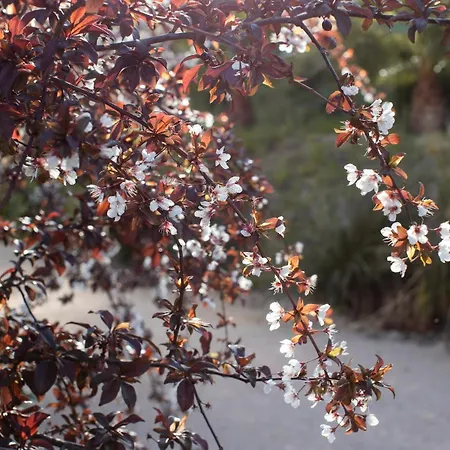 Casa Do Piolhinho - Luxury Country Estate - Tomar, Portugal Tomar