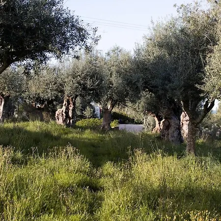 Casa Do Piolhinho - Luxury Country Estate - Tomar, Portugal * Tomar