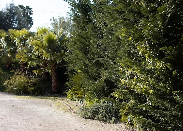 Villa Casa Do Piolhinho - Luxury Country Estate - Tomar, Portugal