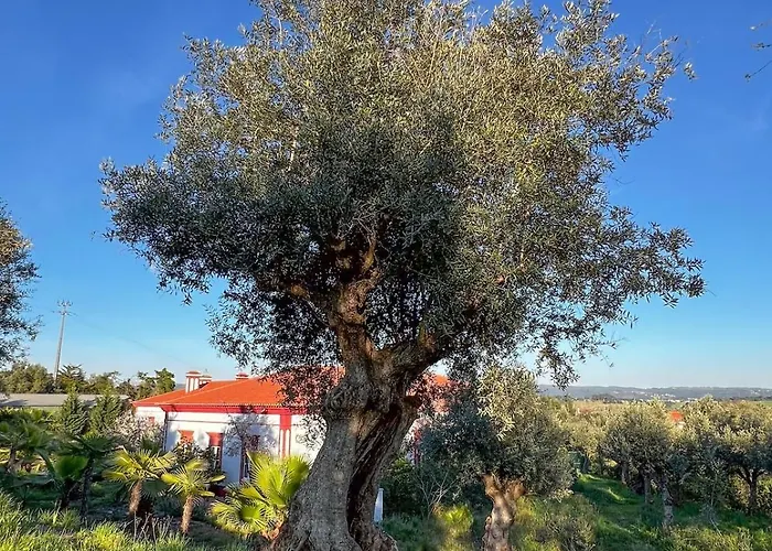 Willa Casa Do Piolhinho - Luxury Country Estate - Tomar, Portugal