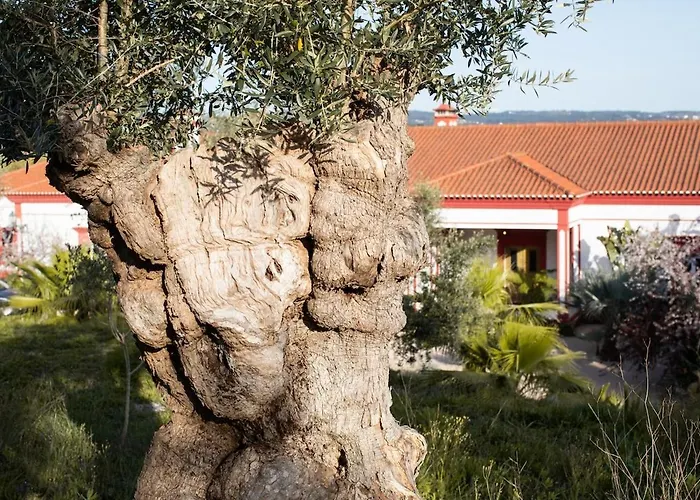 Casa Do Piolhinho - Luxury Country Estate - Tomar, Portugal Tomar