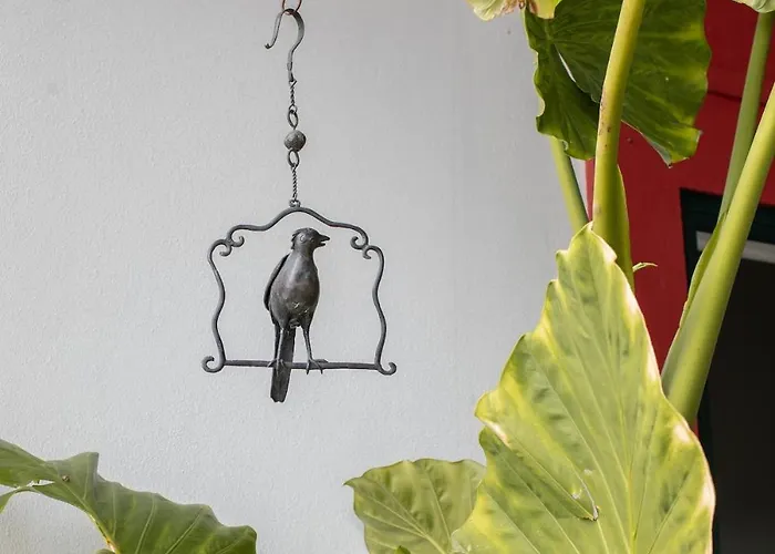 Casa Do Piolhinho - Luxury Country Estate - Tomar, Portugal *