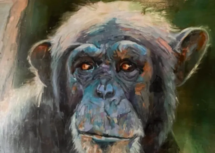 Casa Do Piolhinho - Luxury Country Estate - Tomar, Portugal Villa