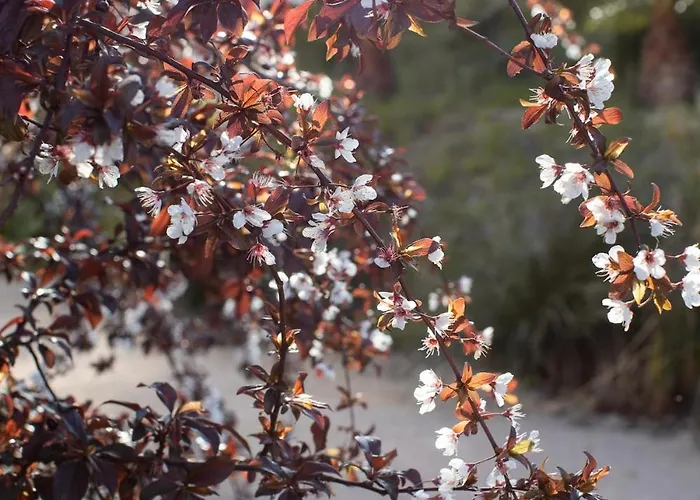 Casa Do Piolhinho - Luxury Country Estate - Tomar, Portugal Tomar