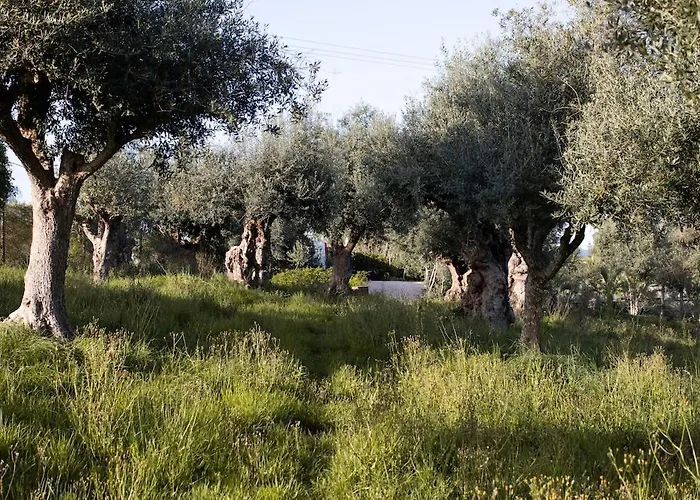Casa Do Piolhinho - Luxury Country Estate - Tomar, Portugal * Tomar