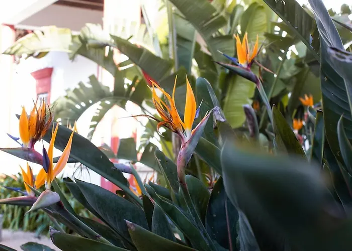 Villa Casa Do Piolhinho - Luxury Country Estate - Tomar, Portugal Tomar